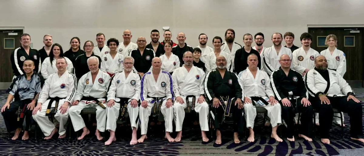 taekwondo dimensions association group
