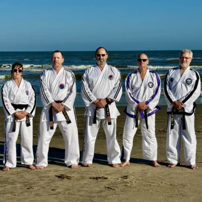 taekwondo dimensions association instructors group
