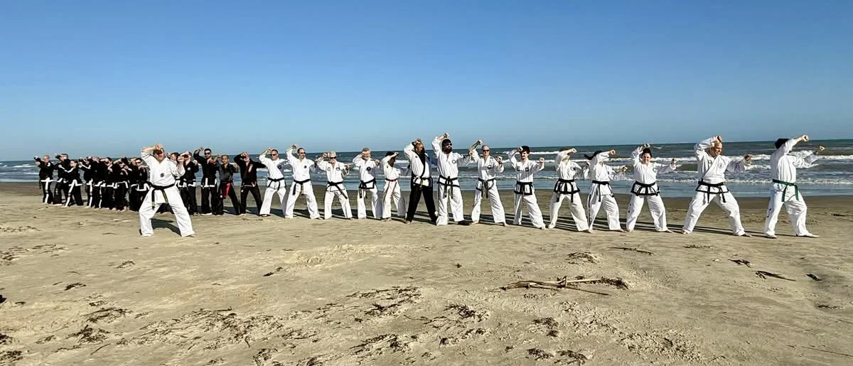 taekwondo dimensions members group twin forearm block
