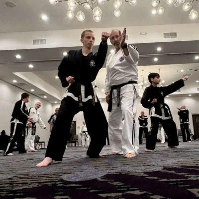 taekwondo dimensions students instruction