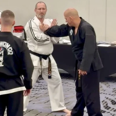 taekwondo dimensions syllabus instruction